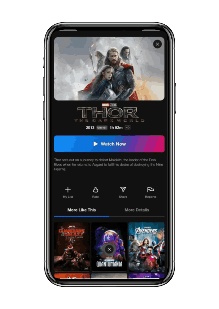 netflix mirror app